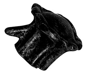 Sierra Lifestyles - Big Sky Cabinet Hardware Deer Antler Burr Knob - Black - cabinetknobsonline