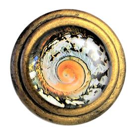 Charleston Knob Company  NAUTILUS SWIRL SIGNATURE BRASS CABINET KNOB - cabinetknobsonline