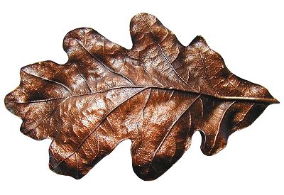 Notting Hill Cabinet Hardware Oak Leaf Cabinet Bin Pull Antique Copper 4-5-8" x 2-1-2" - cabinetknobsonline