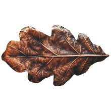 Notting Hill Cabinet Knob Oak Leaf Antique Copper  2-1-4" x 1-1-4" - cabinetknobsonline
