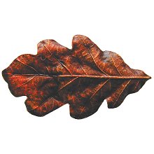 Notting Hill Cabinet Knob Oak Leaf Brass Hand Tinted 2-1-4" x 1-1-4" - cabinetknobsonline