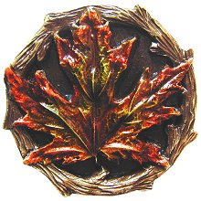 Notting Hill Cabinet Hardware Maple Leaf Brass Hand Tinted 1-1-4" diameter - cabinetknobsonline