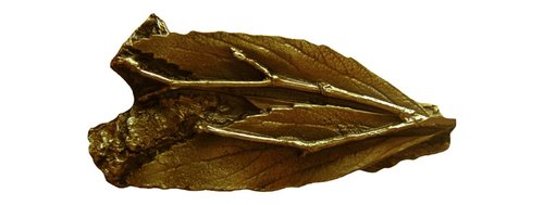 Notting Hill Cabinet Hardware Leafy Twig  Antique Brass 2-1-8" x 1" - cabinetknobsonline