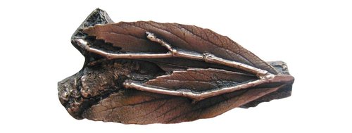 Notting Hill Cabinet Hardware Leafy Twig  Antique Copper 2-1-8" x 1" - cabinetknobsonline