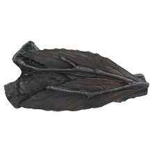 Notting Hill Cabinet Hardware Leafy Twig  Dark Brass 2-1-8" x 1" - cabinetknobsonline