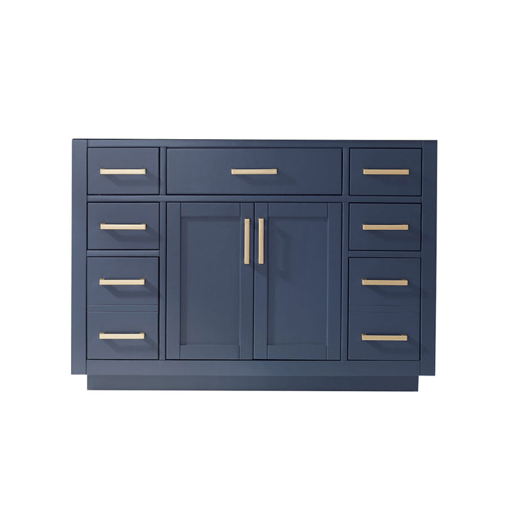 Ivy 48" Single Bathroom Vanity Cabinet