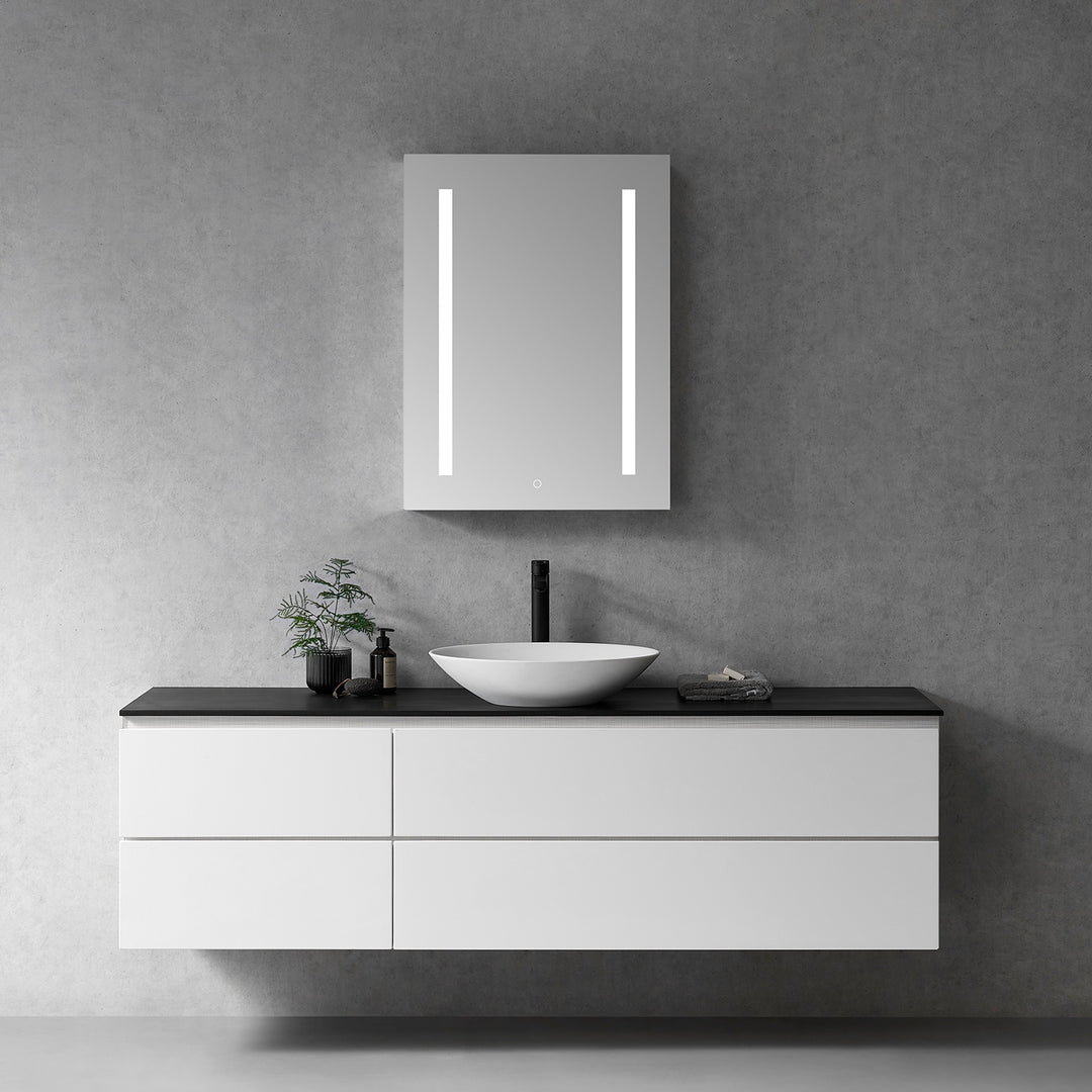 Catola Rectangle Frameless Surface-Mount/Recessed LED Lighted Bathroom Medicine Cabinet