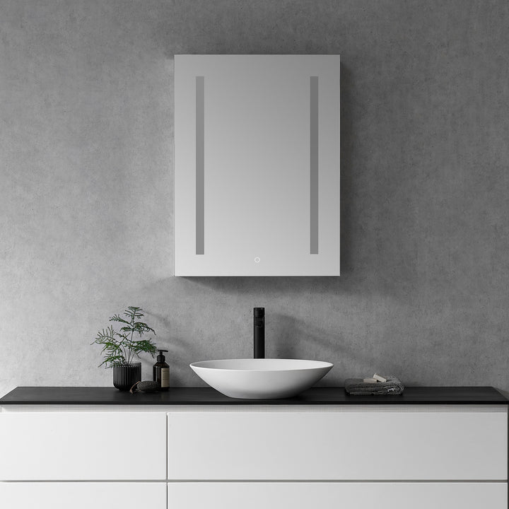 Catola Rectangle Frameless Surface-Mount/Recessed LED Lighted Bathroom Medicine Cabinet