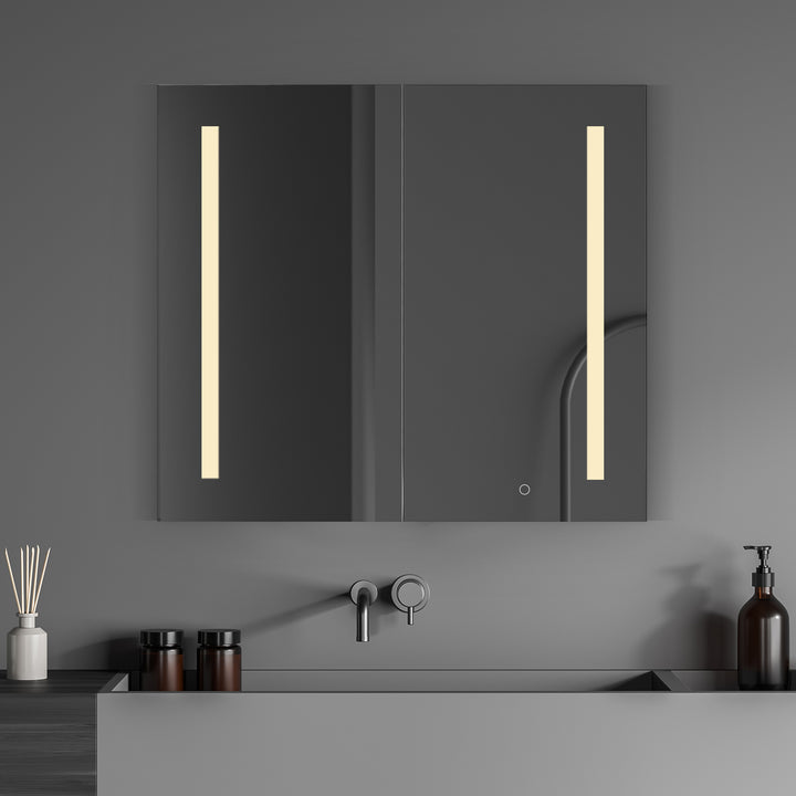 Catola Rectangle Frameless Surface-Mount/Recessed LED Lighted Bathroom Medicine Cabinet
