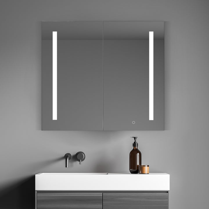 Catola Rectangle Frameless Surface-Mount/Recessed LED Lighted Bathroom Medicine Cabinet