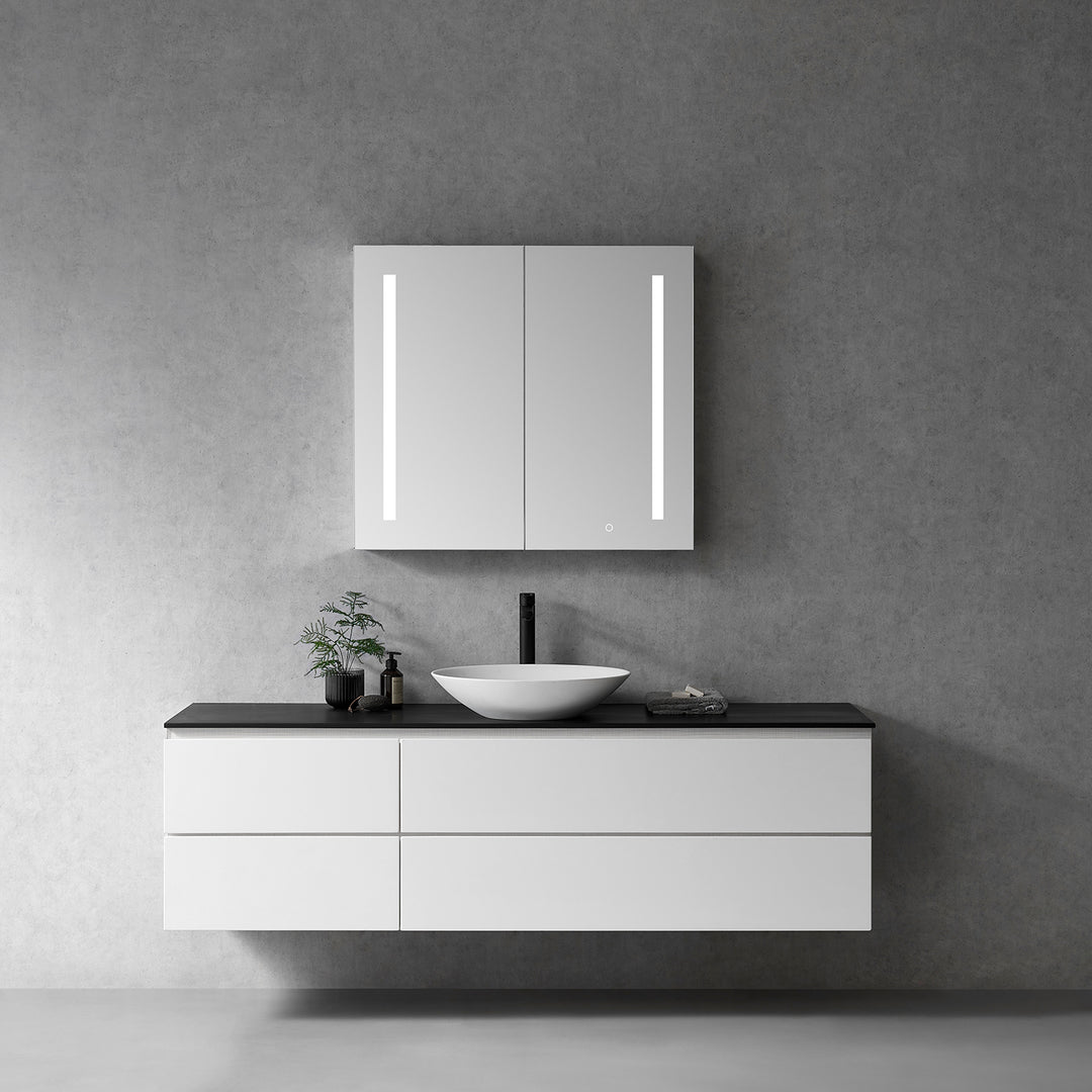 Catola Rectangle Frameless Surface-Mount/Recessed LED Lighted Bathroom Medicine Cabinet