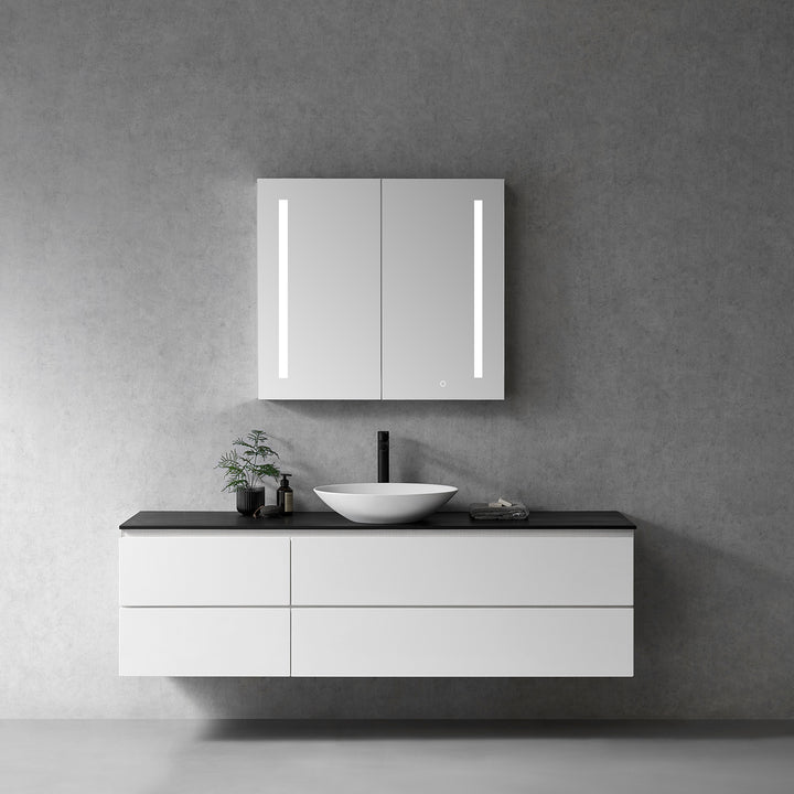 Catola Rectangle Frameless Surface-Mount/Recessed LED Lighted Bathroom Medicine Cabinet