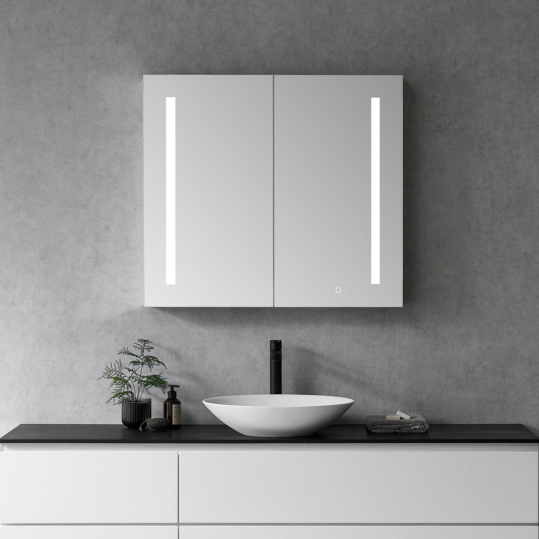 Catola Rectangle Frameless Surface-Mount/Recessed LED Lighted Bathroom Medicine Cabinet