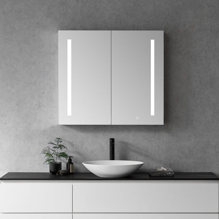 Catola Rectangle Frameless Surface-Mount/Recessed LED Lighted Bathroom Medicine Cabinet
