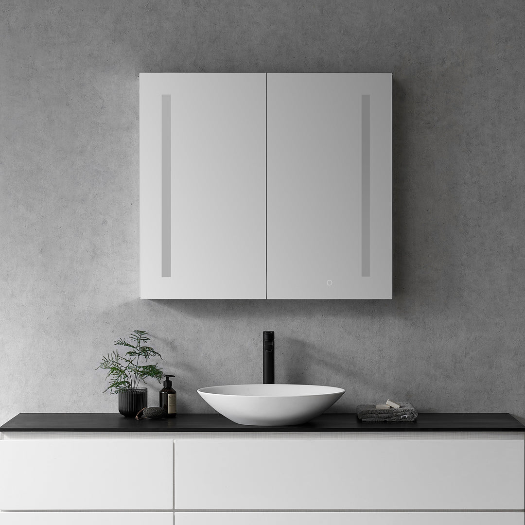 Catola Rectangle Frameless Surface-Mount/Recessed LED Lighted Bathroom Medicine Cabinet