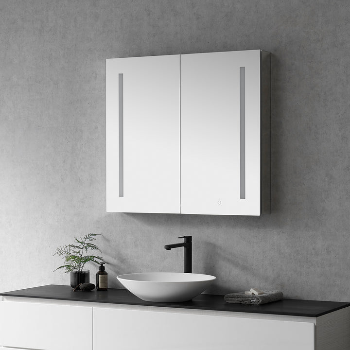 Catola Rectangle Frameless Surface-Mount/Recessed LED Lighted Bathroom Medicine Cabinet