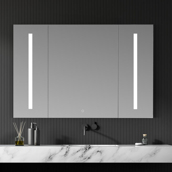 Catola Rectangle Frameless Surface-Mount/Recessed LED Lighted Bathroom Medicine Cabinet