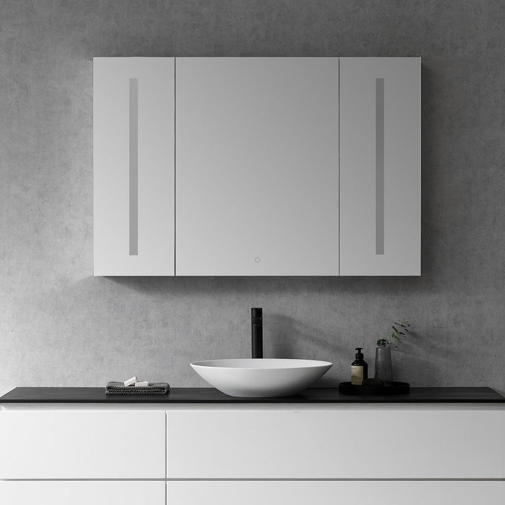 Catola Rectangle Frameless Surface-Mount/Recessed LED Lighted Bathroom Medicine Cabinet
