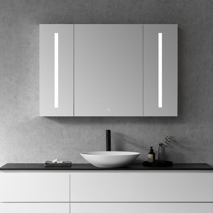 Catola Rectangle Frameless Surface-Mount/Recessed LED Lighted Bathroom Medicine Cabinet