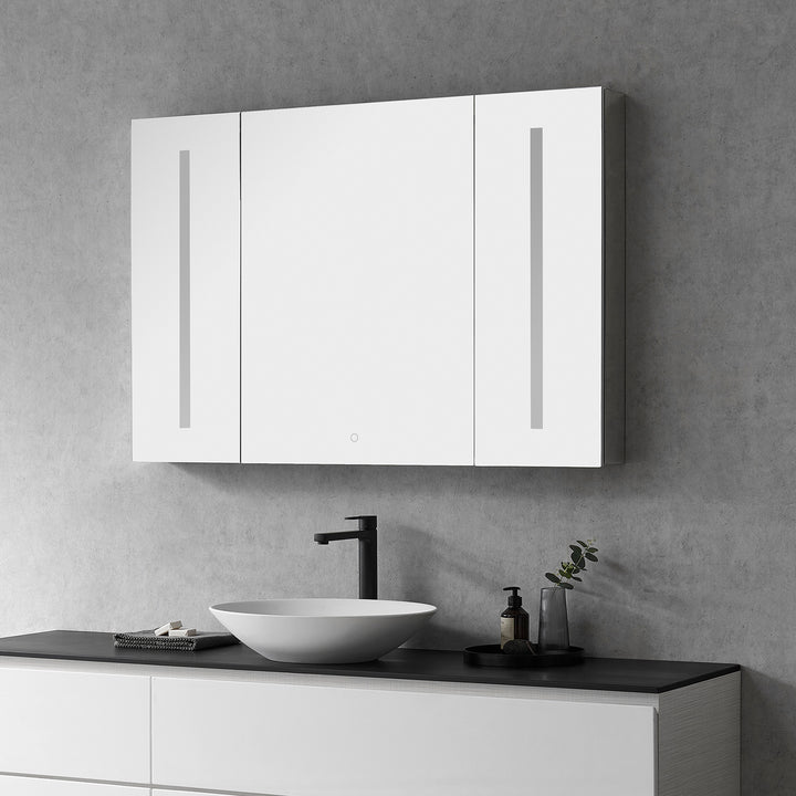 Catola Rectangle Frameless Surface-Mount/Recessed LED Lighted Bathroom Medicine Cabinet