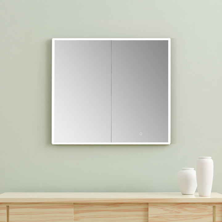 Bojano Rectangle Frameless Surface-Mount/Recessed LED Lighted Bathroom Medicine Cabinet