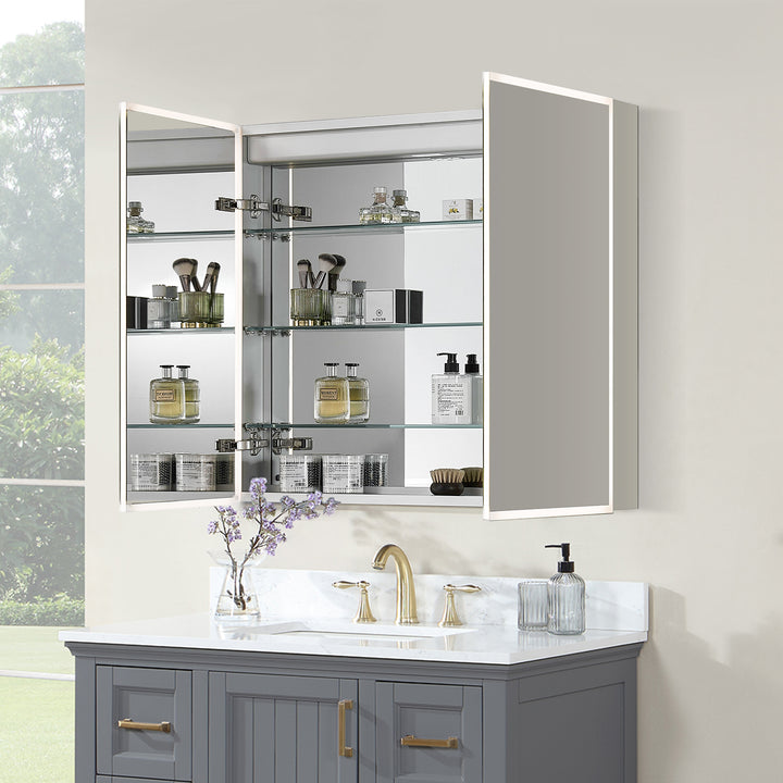 Bojano Rectangle Frameless Surface-Mount/Recessed LED Lighted Bathroom Medicine Cabinet