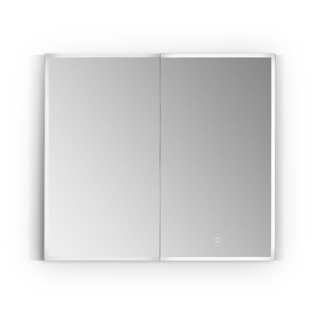 Bojano Rectangle Frameless Surface-Mount/Recessed LED Lighted Bathroom Medicine Cabinet
