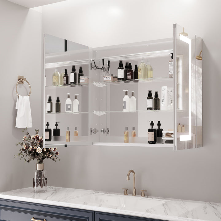 Hemnes Rectangle Frameless Surface-Mount/Recessed LED Lighted Bathroom Medicine Cabinet