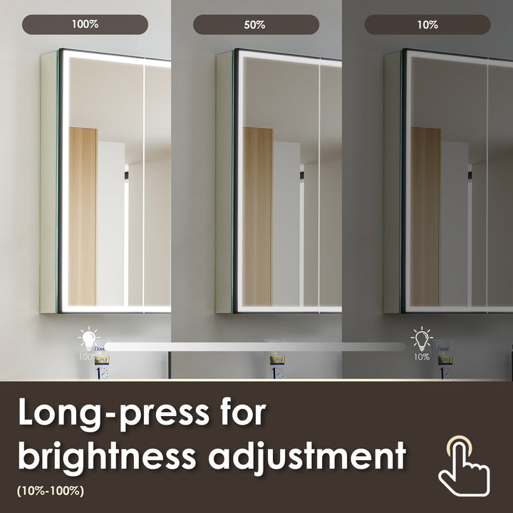 Fenice Rectangular Surface-Mount/Reccessed LED Lighted Bathroom Black Aluminum Mirror Medicine Cabinet