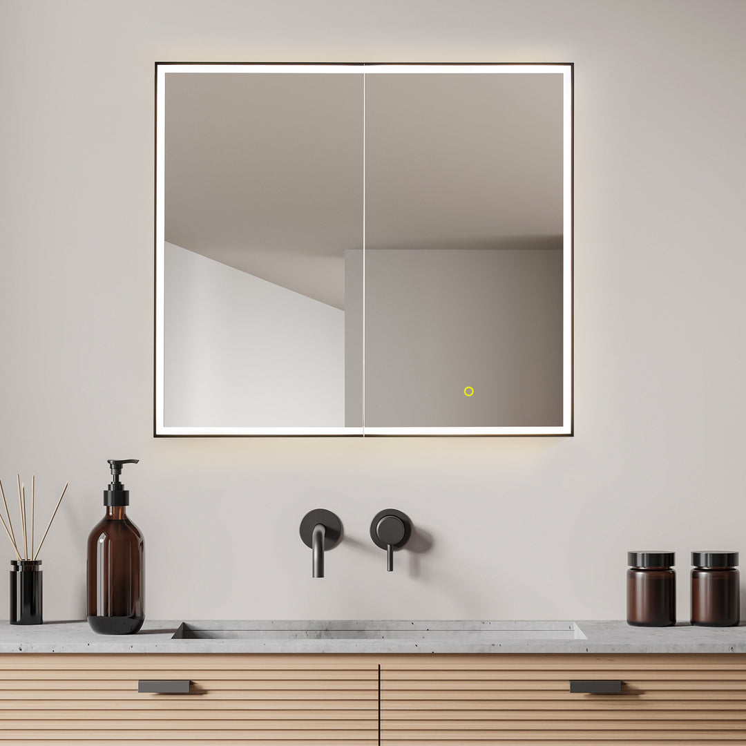Fenice Rectangular Surface-Mount/Reccessed LED Lighted Bathroom Black Aluminum Mirror Medicine Cabinet