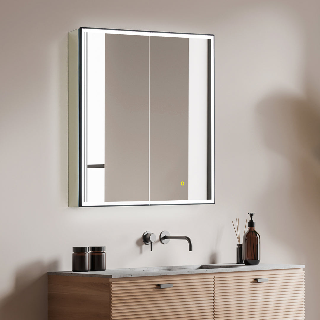 Fenice Rectangular Surface-Mount/Reccessed LED Lighted Bathroom Black Aluminum Mirror Medicine Cabinet
