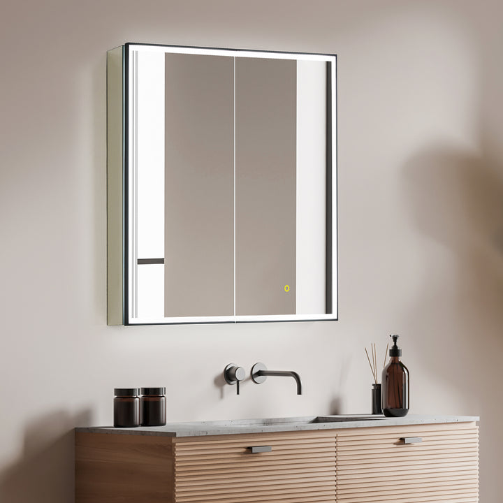 Fenice Rectangular Surface-Mount/Reccessed LED Lighted Bathroom Black Aluminum Mirror Medicine Cabinet