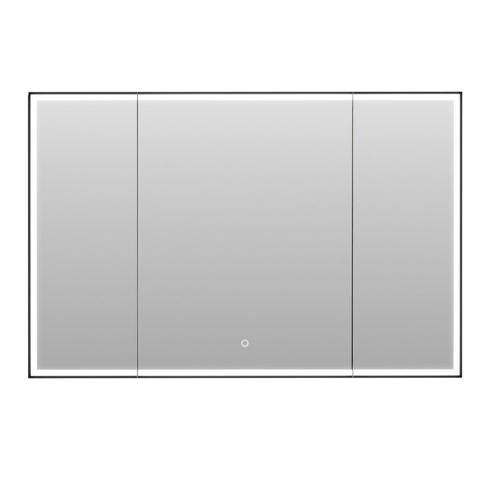Fenice Rectangular Surface-Mount/Reccessed LED Lighted Bathroom Black Aluminum Mirror Medicine Cabinet