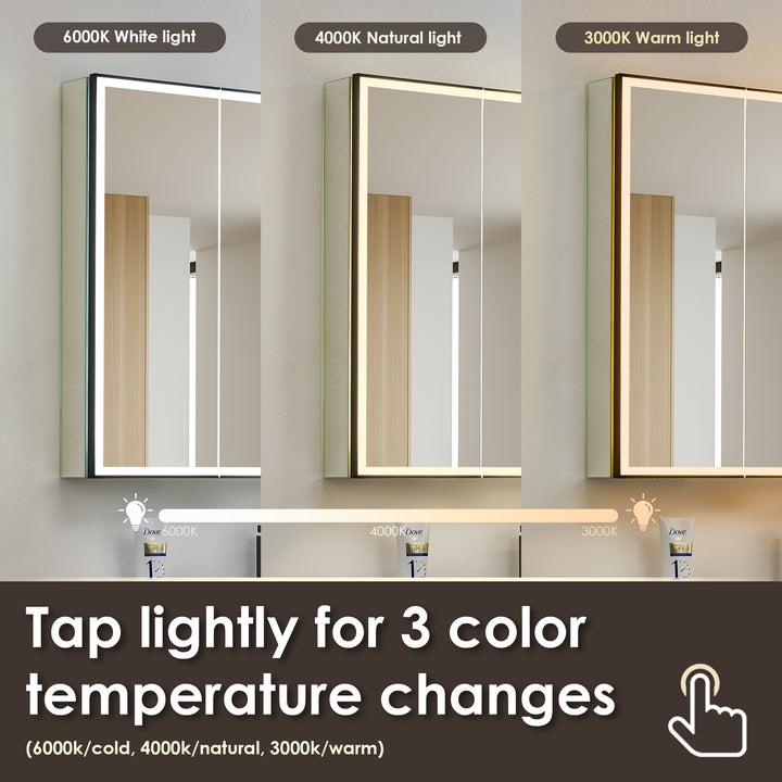 Fenice Rectangular Surface-Mount/Reccessed LED Lighted Bathroom Black Aluminum Mirror Medicine Cabinet