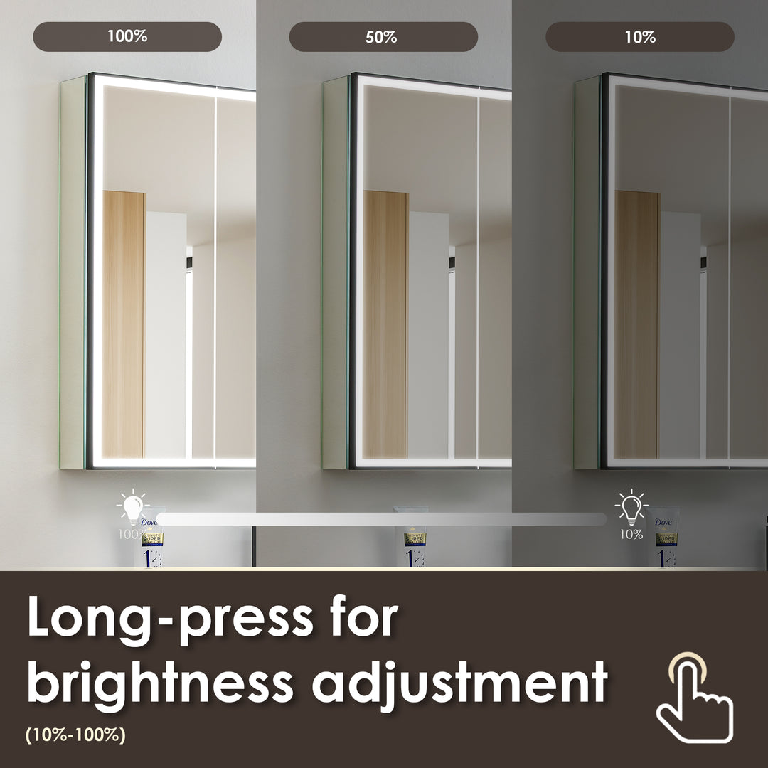Fenice Rectangular Surface-Mount/Reccessed LED Lighted Bathroom Black Aluminum Mirror Medicine Cabinet