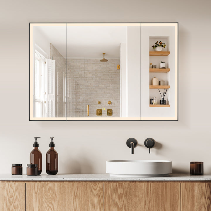 Fenice Rectangular Surface-Mount/Reccessed LED Lighted Bathroom Black Aluminum Mirror Medicine Cabinet