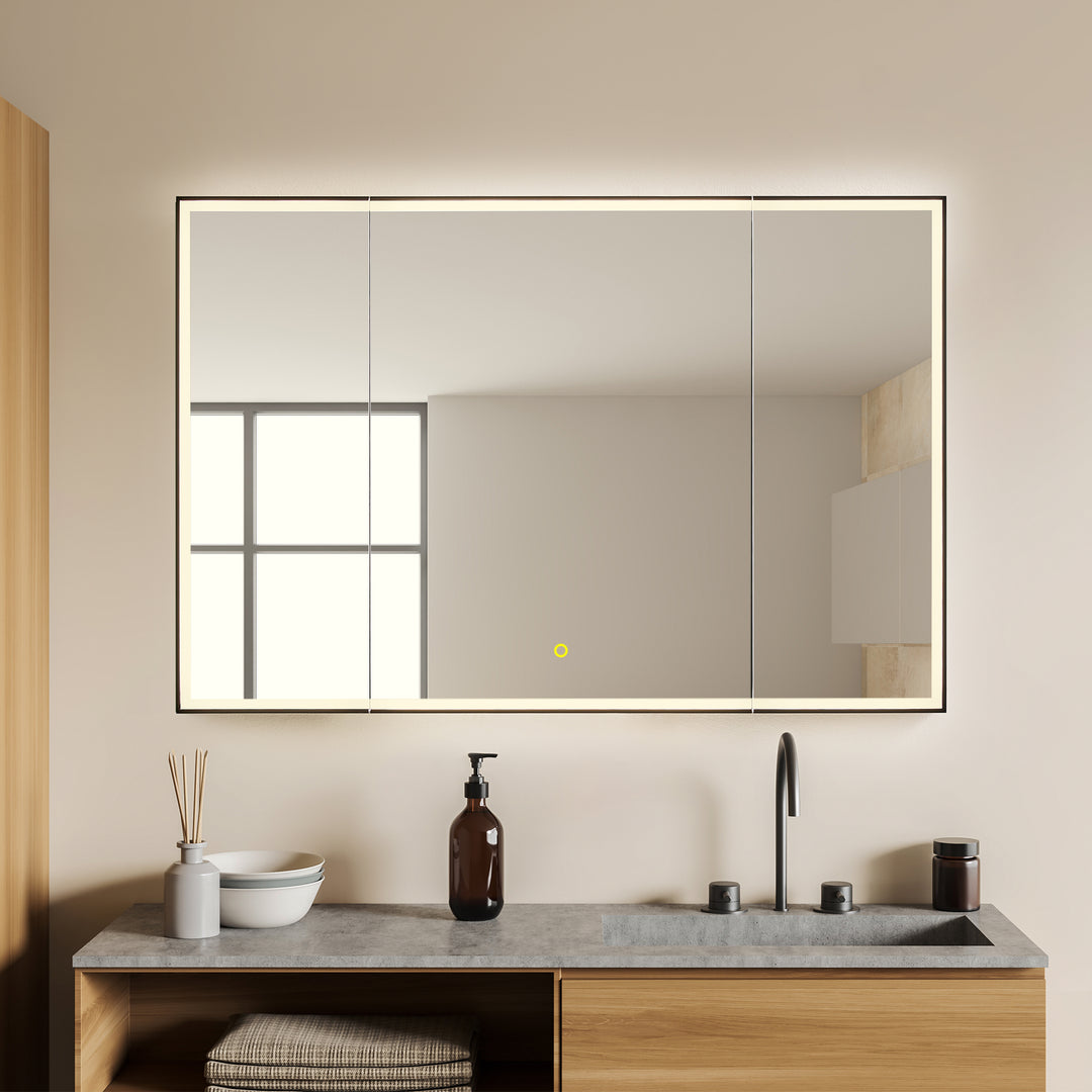 Fenice Rectangular Surface-Mount/Reccessed LED Lighted Bathroom Black Aluminum Mirror Medicine Cabinet