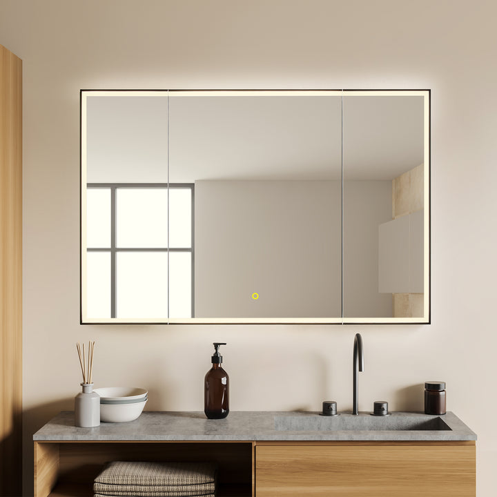 Fenice Rectangular Surface-Mount/Reccessed LED Lighted Bathroom Black Aluminum Mirror Medicine Cabinet