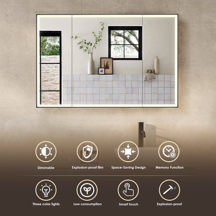 Fenice Rectangular Surface-Mount/Reccessed LED Lighted Bathroom Black Aluminum Mirror Medicine Cabinet