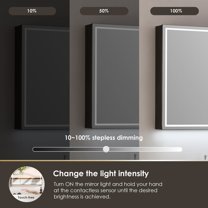 Hesili Rectangular Frameless Surface-Mount LED Lighted Bathroom Mirror Medicine Cabinet