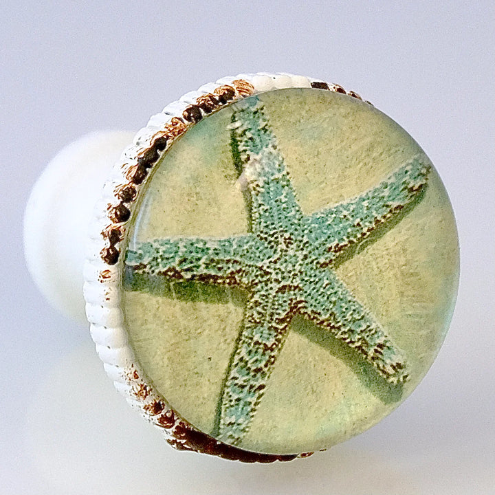 Charleston Knob Company Starfish Knob