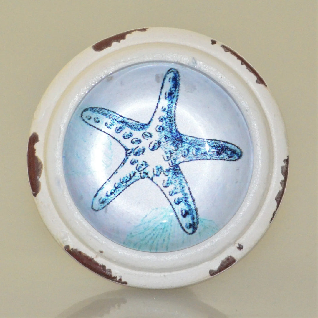 Charleston Knob Company Starfish Knob - Blue and White