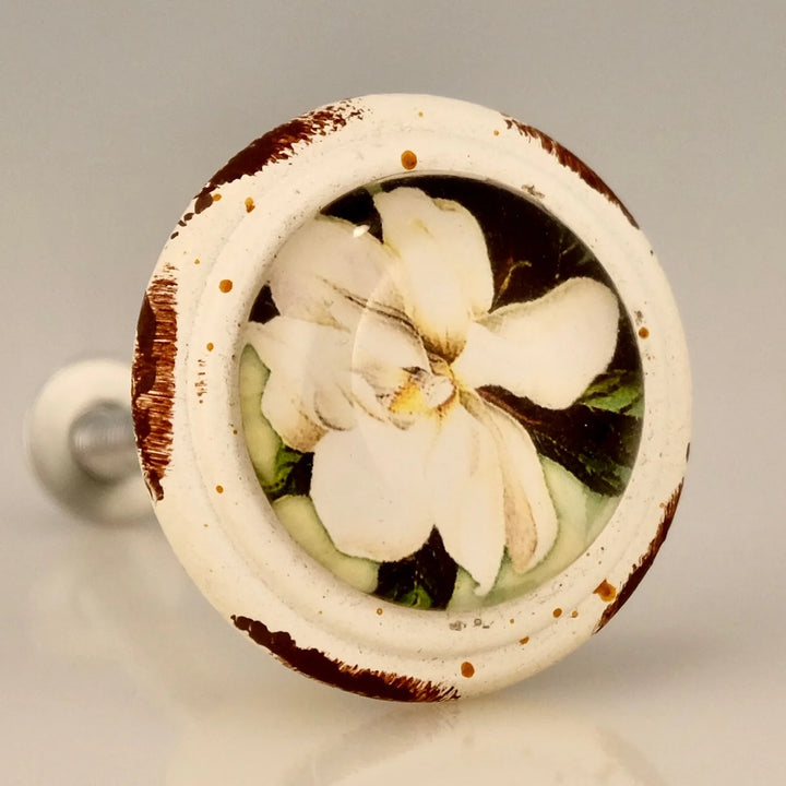 Charleston Knob Company Magnolia Flower Knob