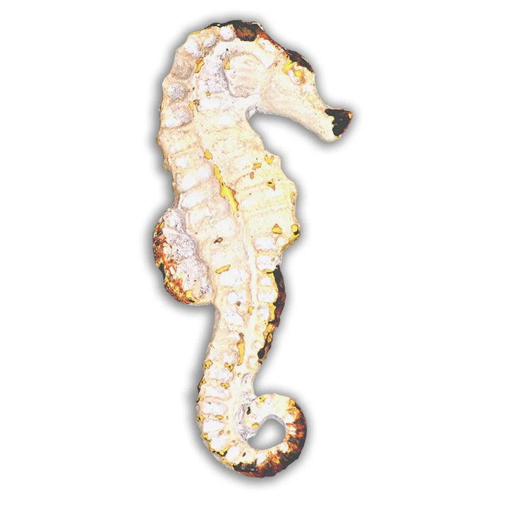 Charleston Knob Company Seahorse Knob -Whitewashed