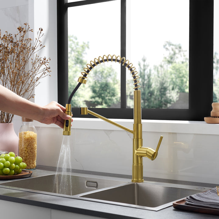 Nette Single-Handle Kitchen Faucet
