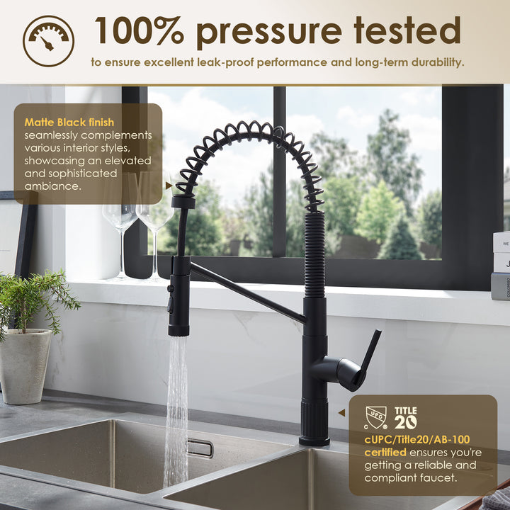 Nette Single-Handle Kitchen Faucet