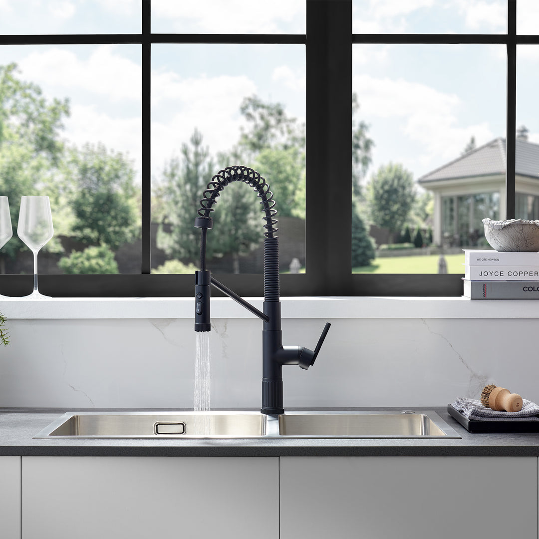 Nette Single-Handle Kitchen Faucet