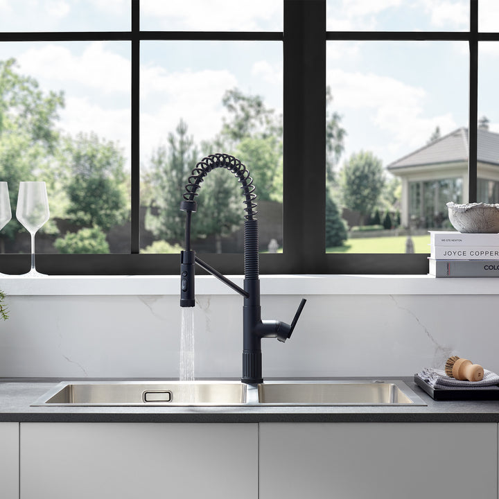 Nette Single-Handle Kitchen Faucet