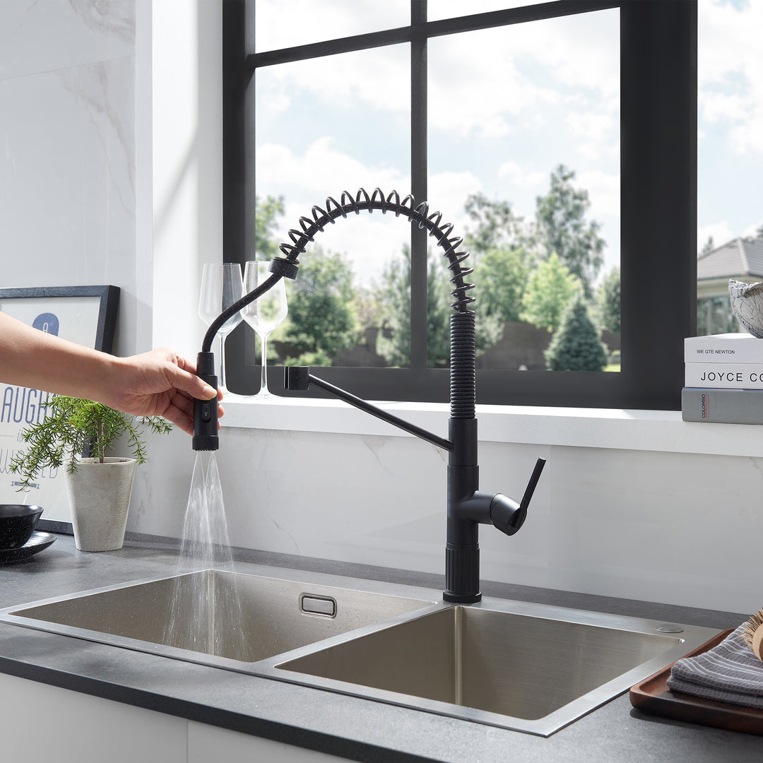 Nette Single-Handle Kitchen Faucet