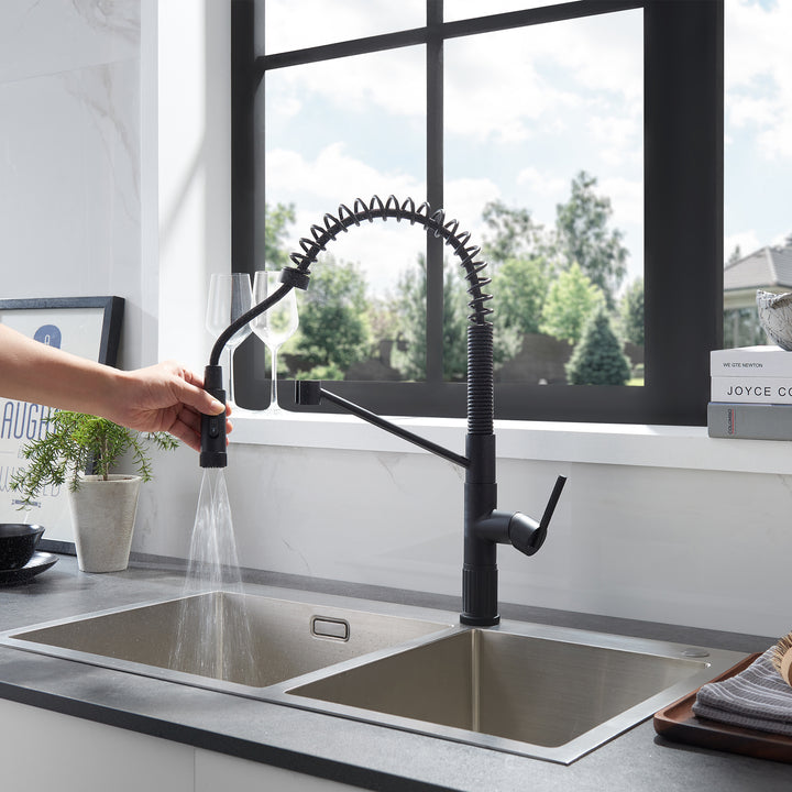 Nette Single-Handle Kitchen Faucet